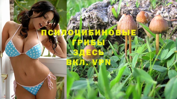 СК Кукмор
