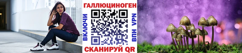 Псилоцибиновые грибы Psilocybine cubensis Михайлов