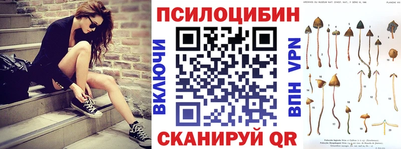 хочу   Михайлов  Галлюциногенные грибы Psilocybe 